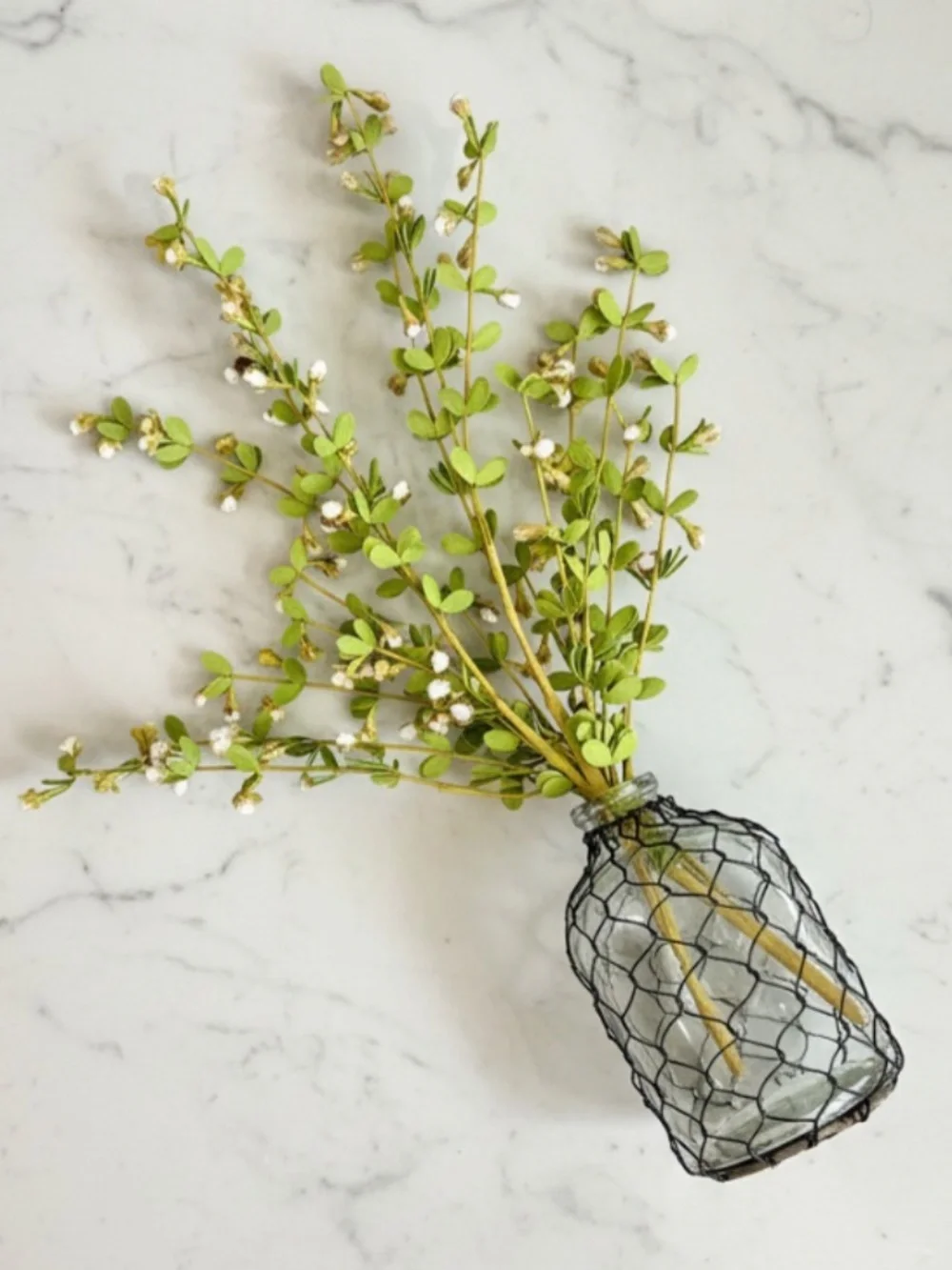 Glass Bottle Vase & Boxwood Floral Stems